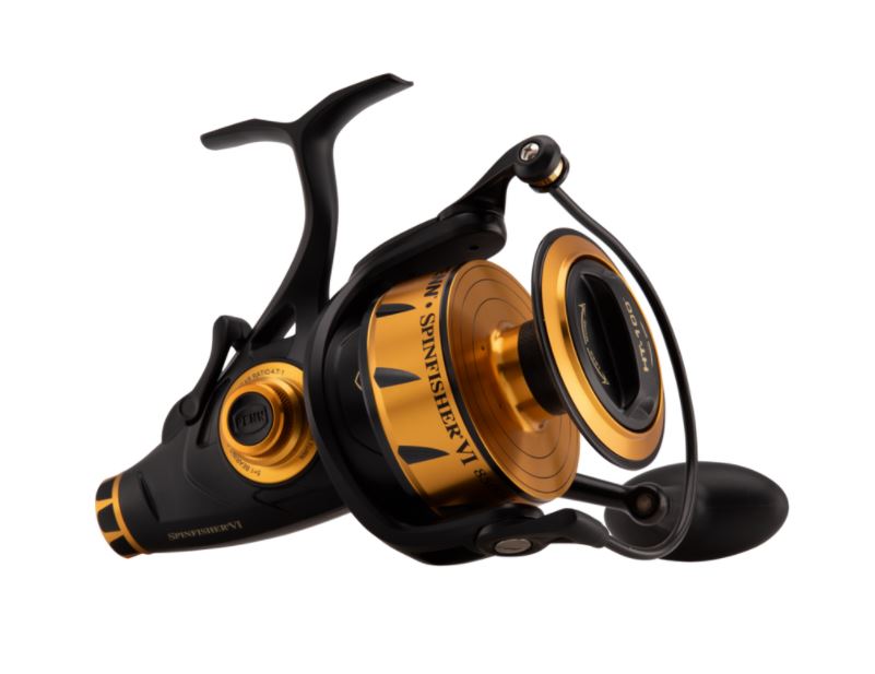 PENN Spinfisher® VI Live Liner Spinning