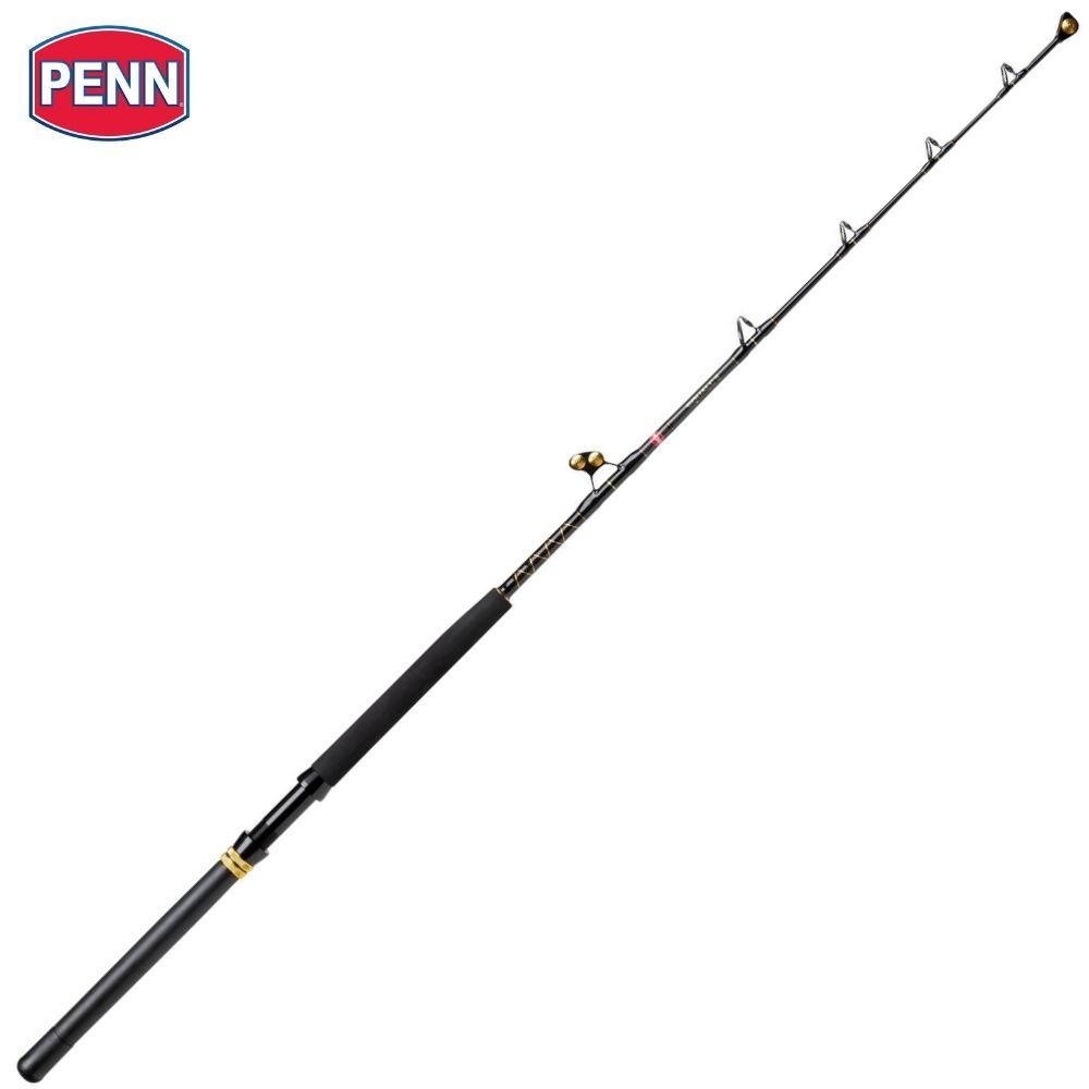 PENN Squall® II Trolling Casting Rod - Reel Fun Fishing