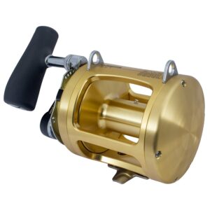 Shimano Tiagra A 80W