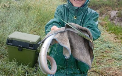 Fishing Update- 10.08.25