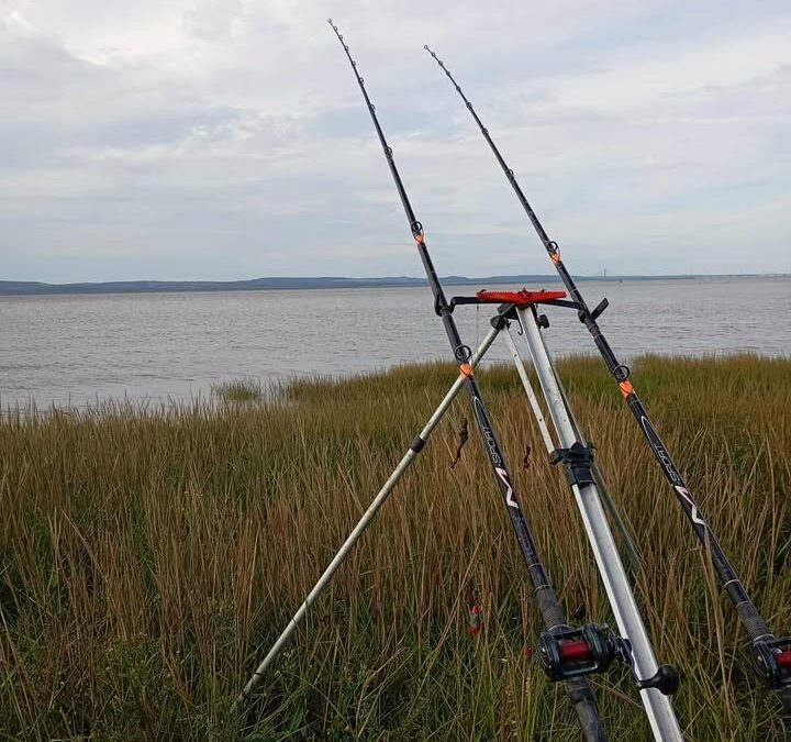 Fishing Update- 14.09.25