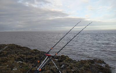 Fishing Update- 01.11.25