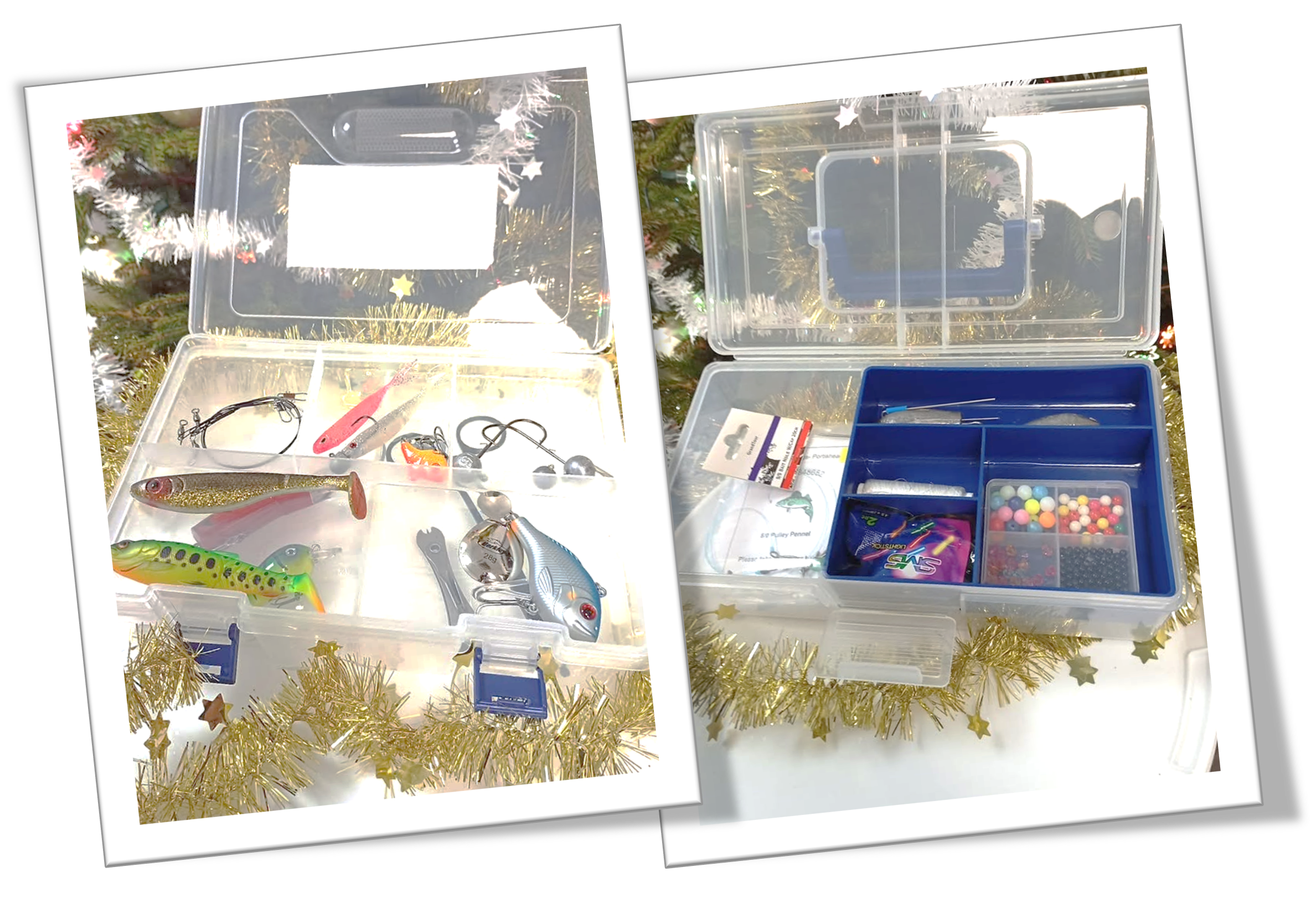 Predator/Sea bundles- Gift Set