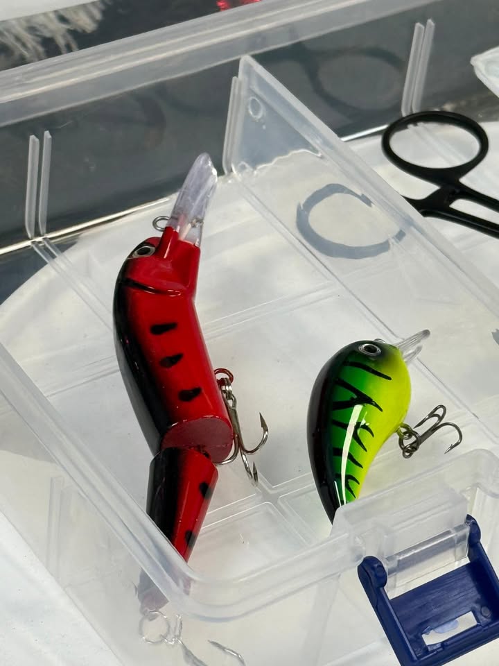 Predator/Sea bundles- Gift Set - Image 8