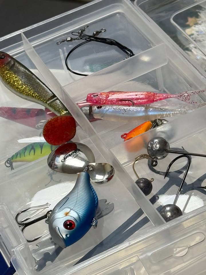 Predator/Sea bundles- Gift Set - Image 3