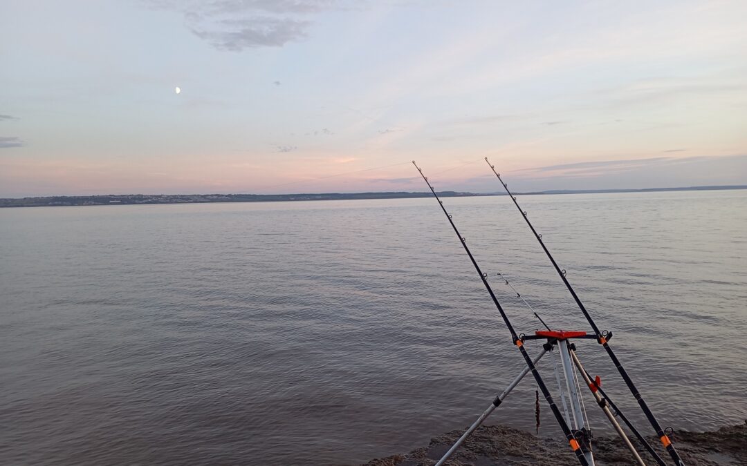 Fishing Update 10.05.26