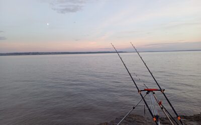 Fishing Update 10.05.26
