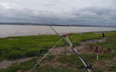 Fishing Update 04.07.26